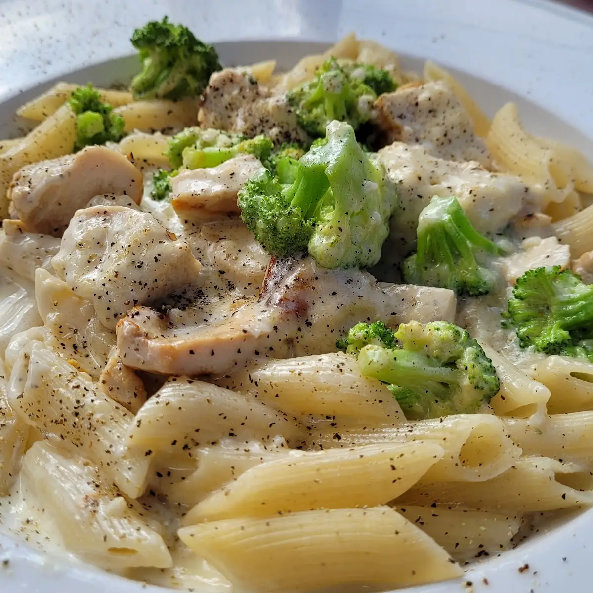 Penne Alfredo