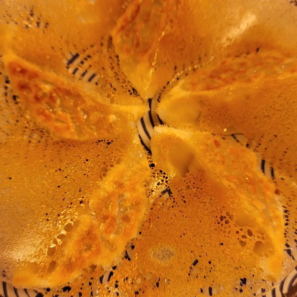 Crispy Gyoza