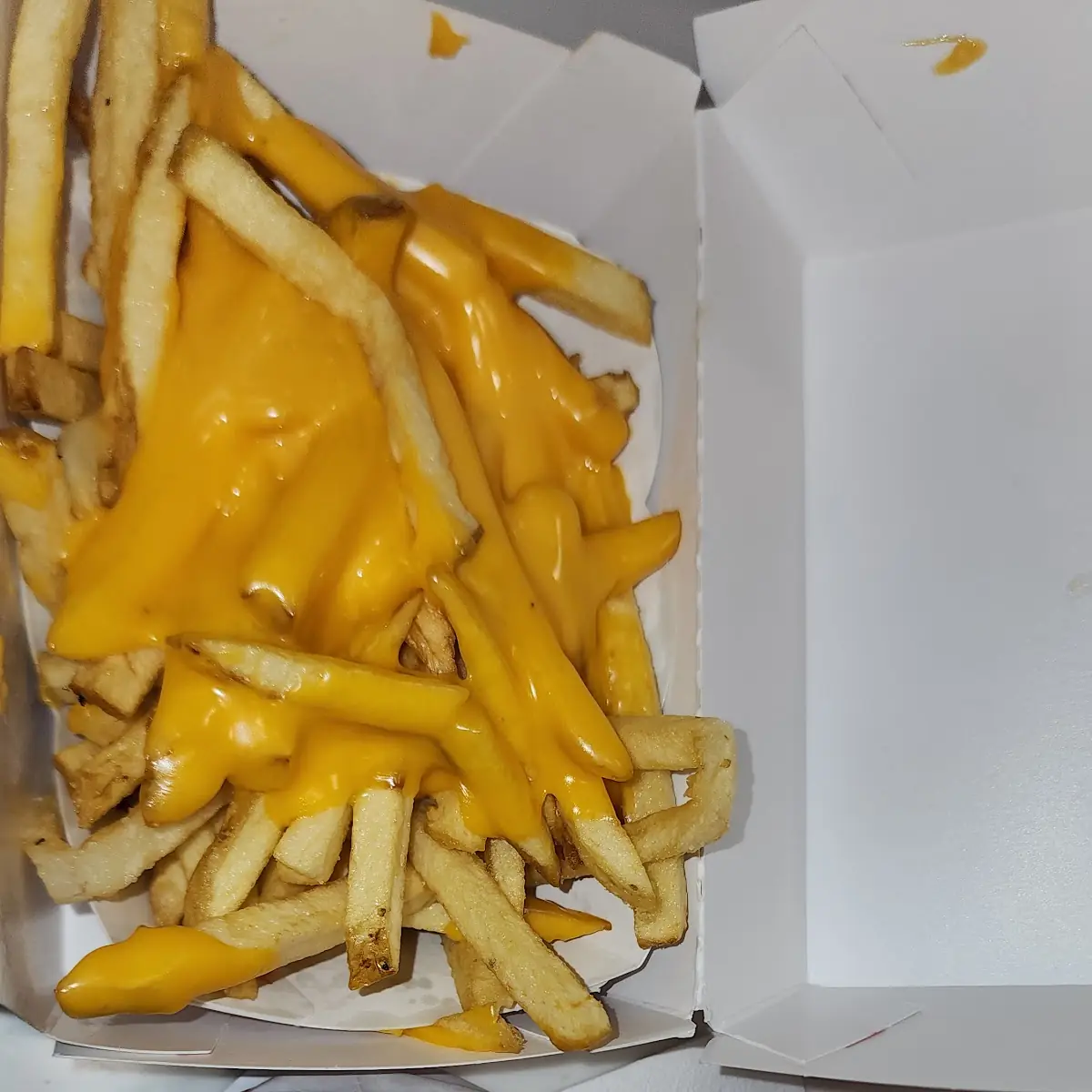 Double Double Cheeseburger with Cheese Fries with Cheese