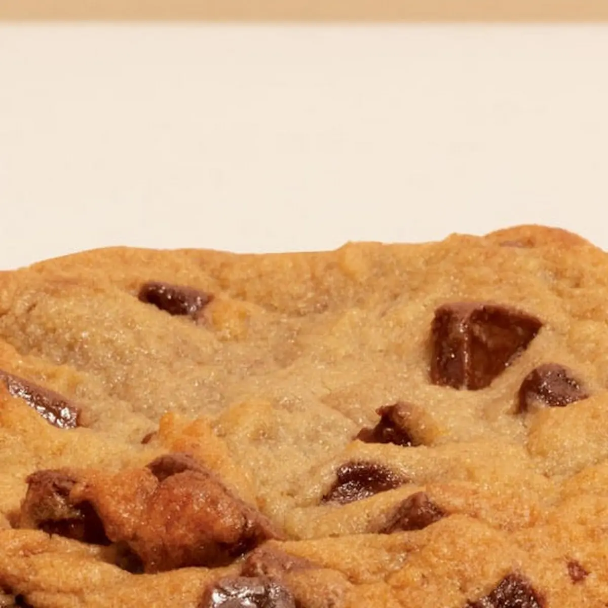Chocolate Chip Cookie