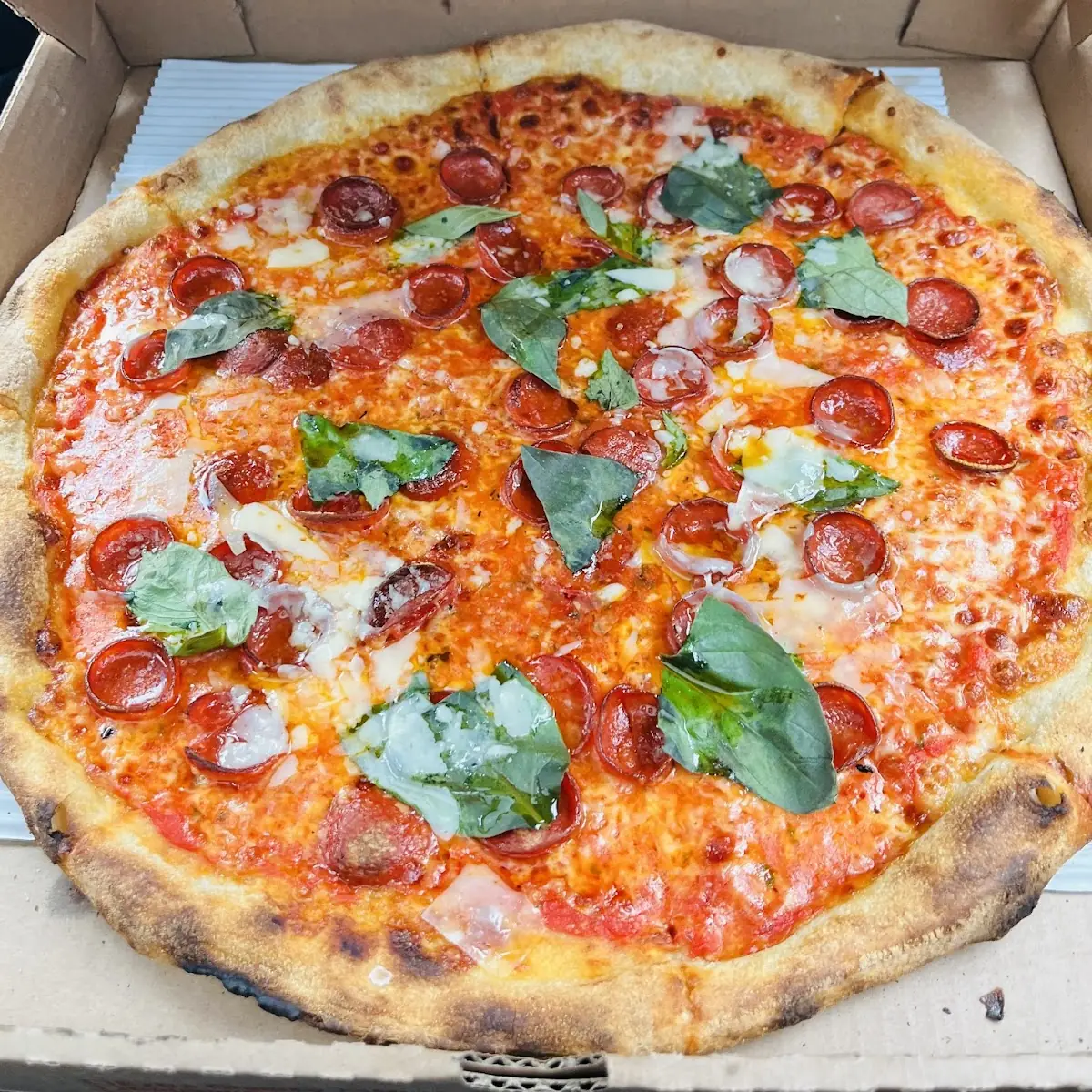 Drunk Grandma Brooklyn Style Thin Crust