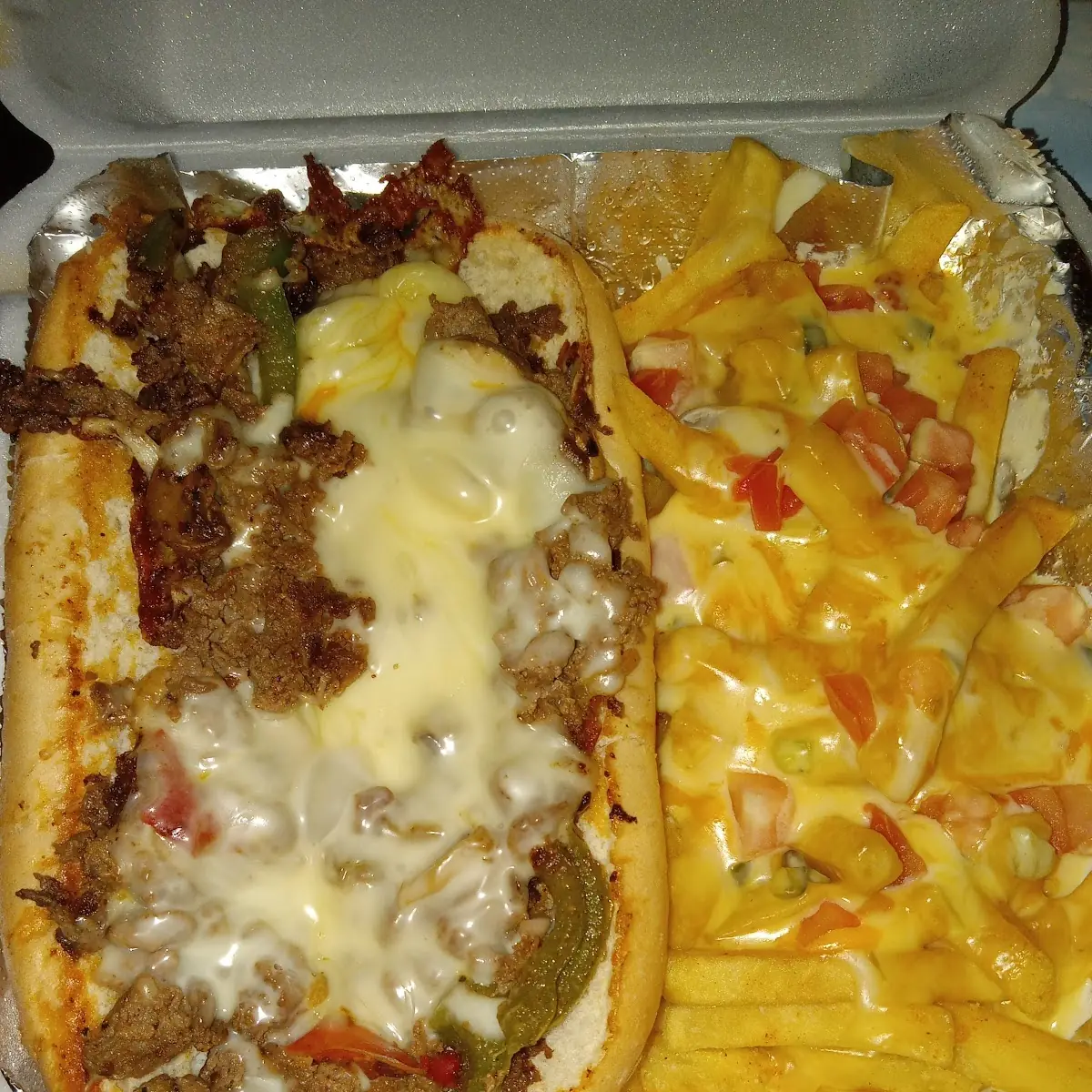 Philly Cheese Steak and Loaded Fries