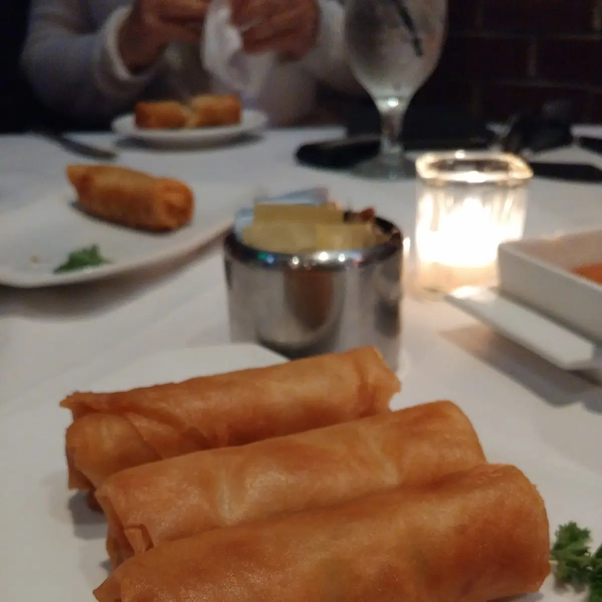Vegetable Spring Rolls 3