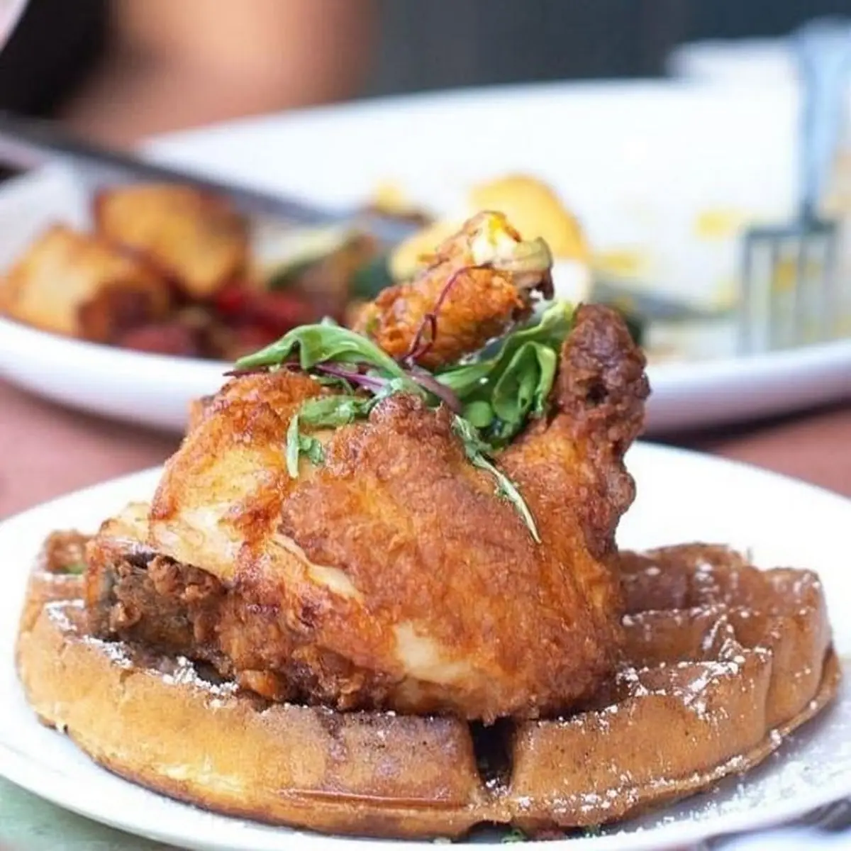Chicken & Waffles