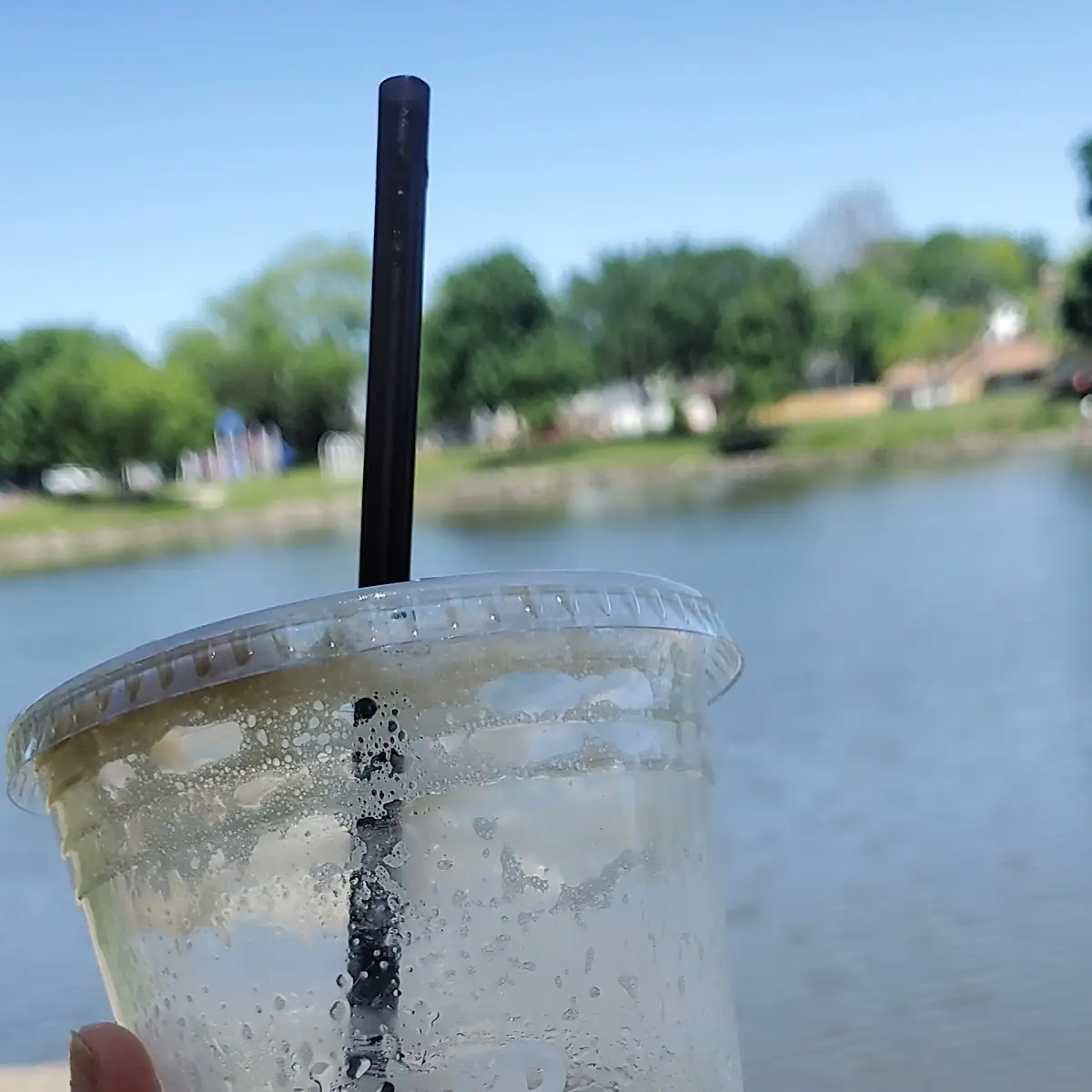 Sugar Free Vanilla Latte with Almond Milk