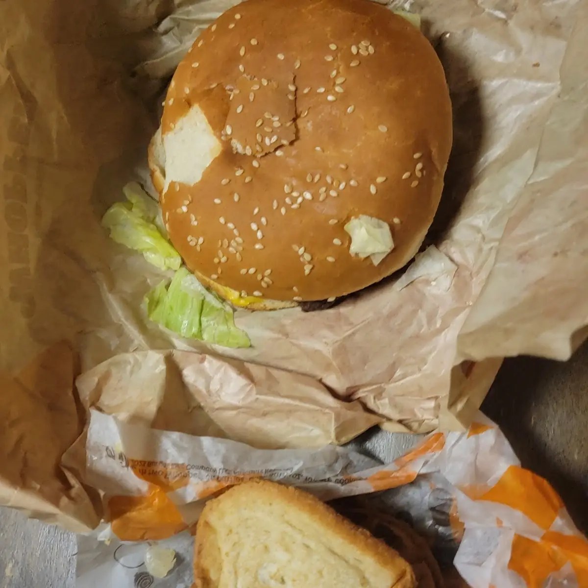 Bacon Burger Melt