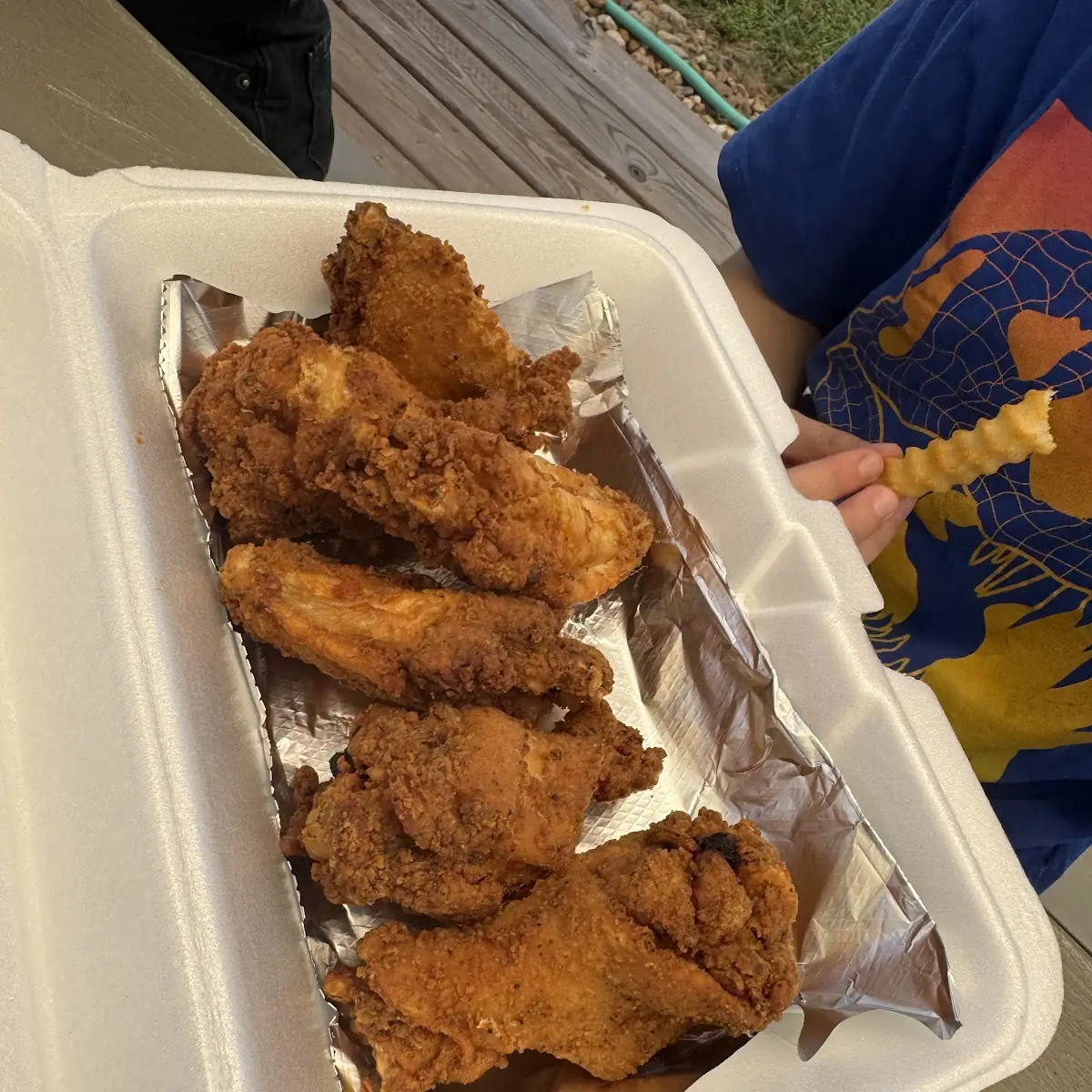 Plain Wings