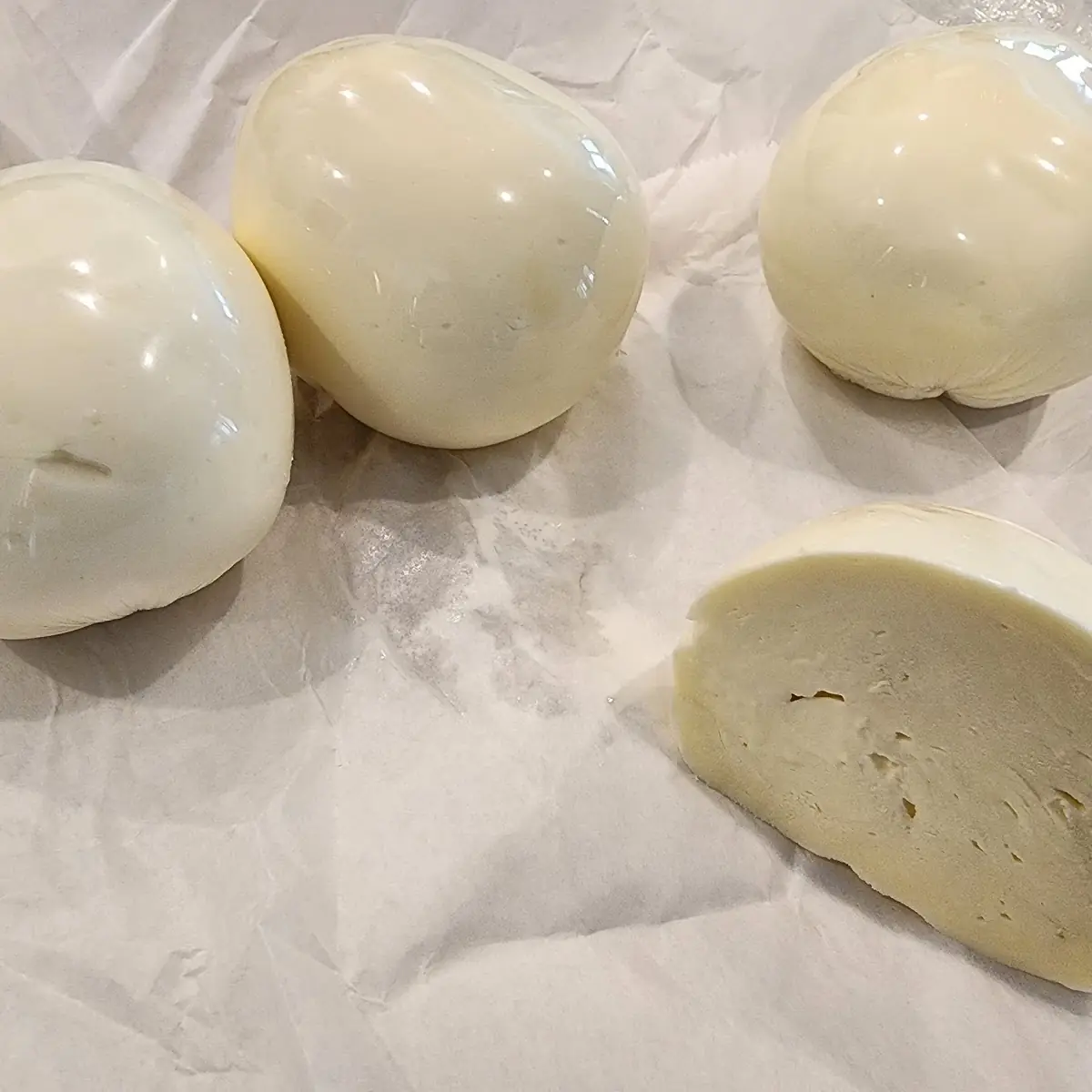 Mozzarella Fresh Enzos in House Made