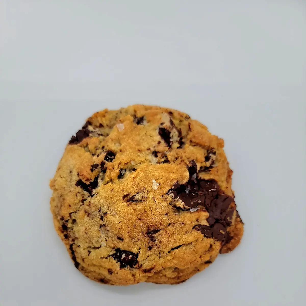 Chocolate Chip Cookie