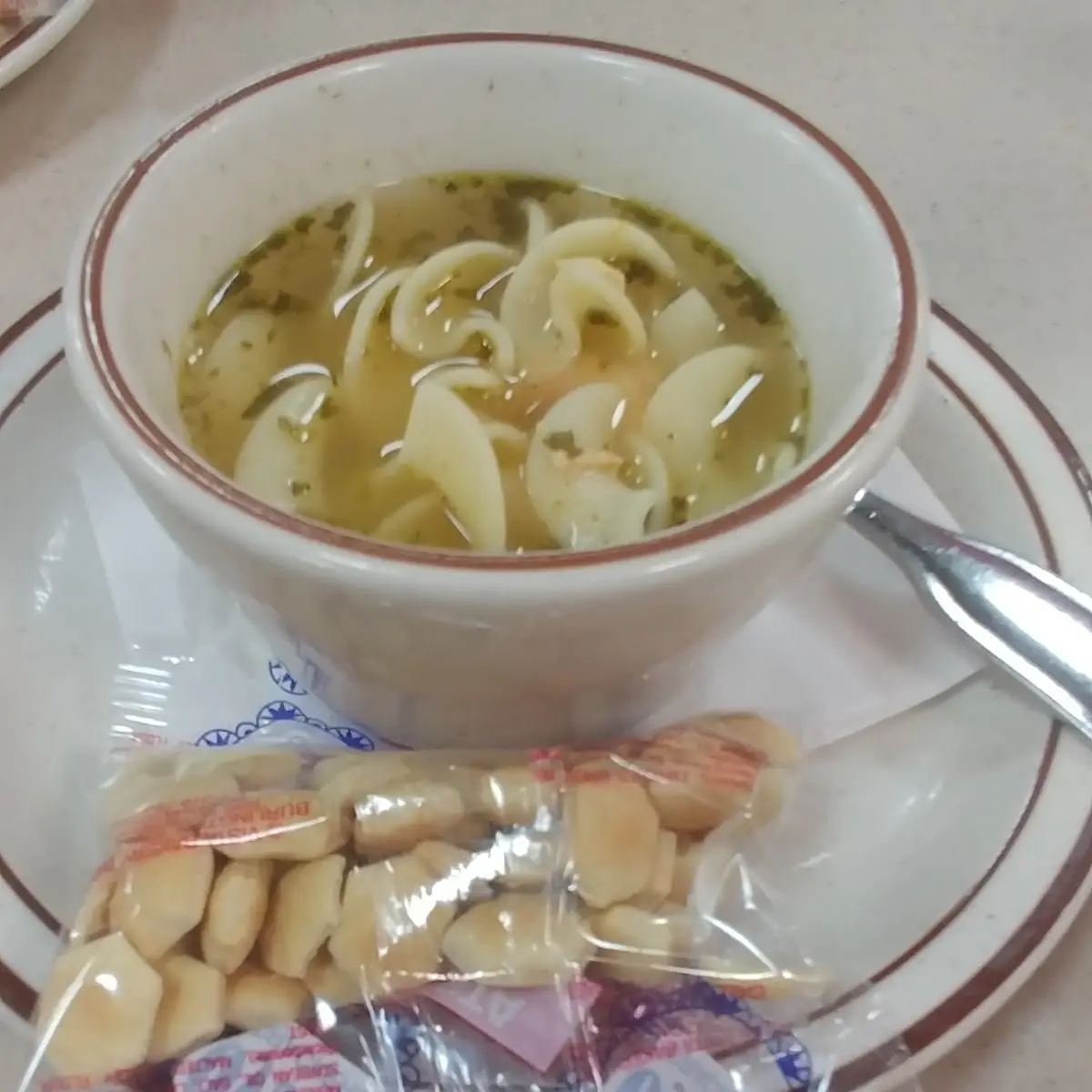 Chicken Noodle Soup