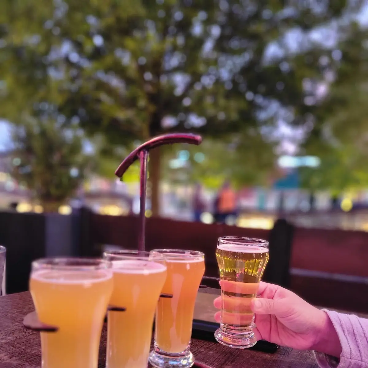 Beer Flight