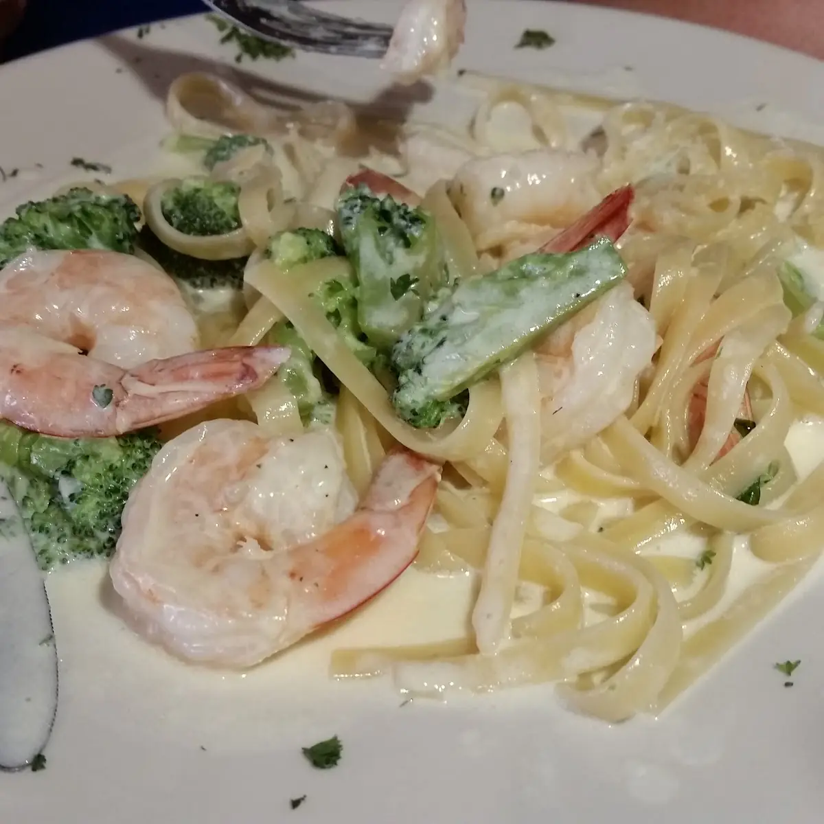 Chicken Broccoli Alfredo