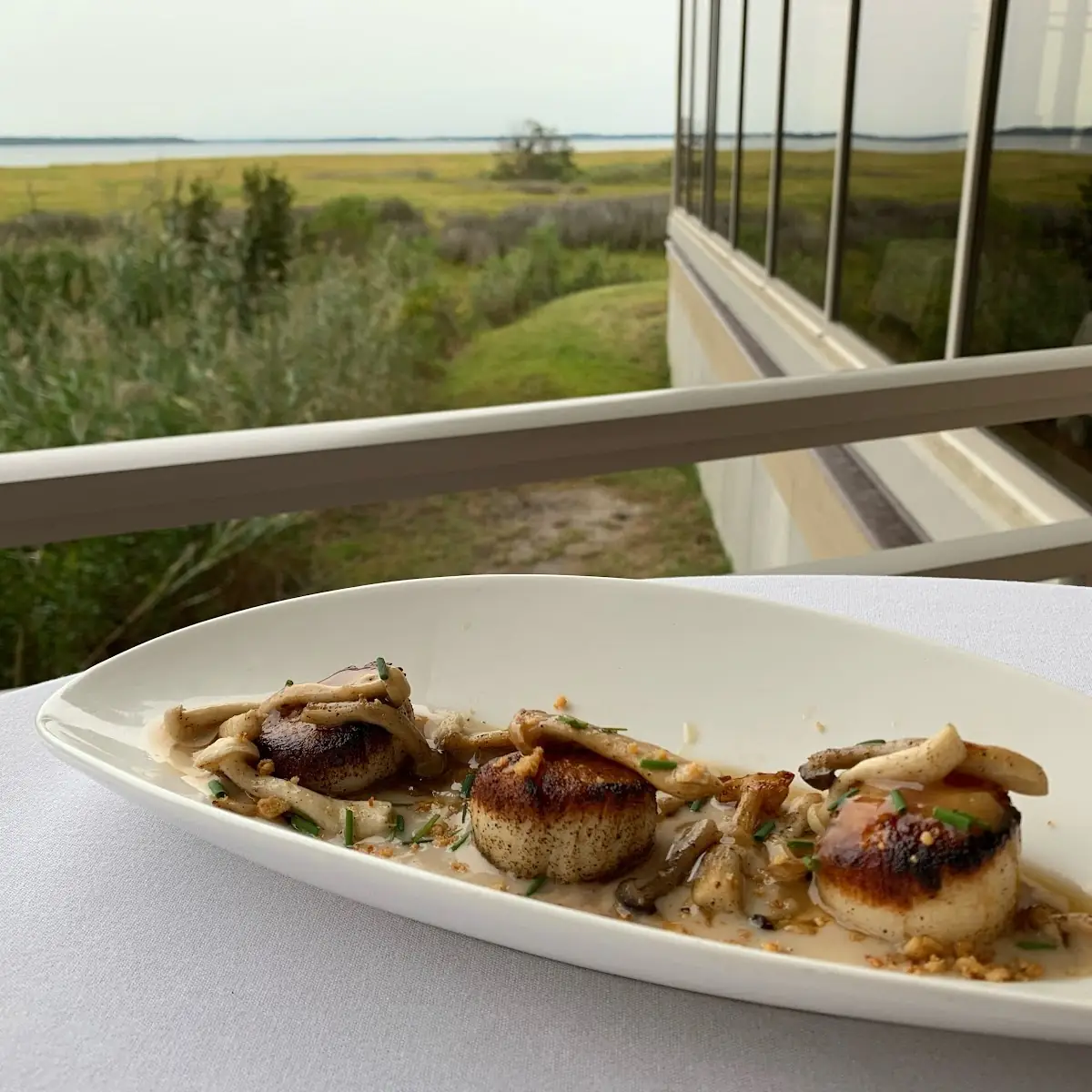 Seared Scallops