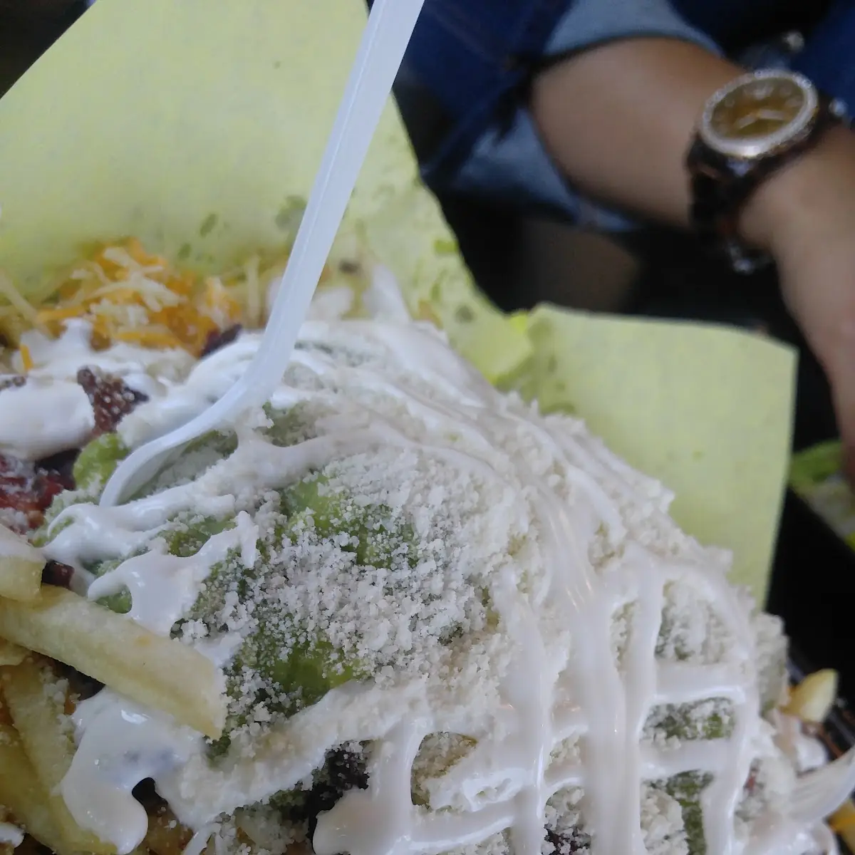 Carne Asada Fries