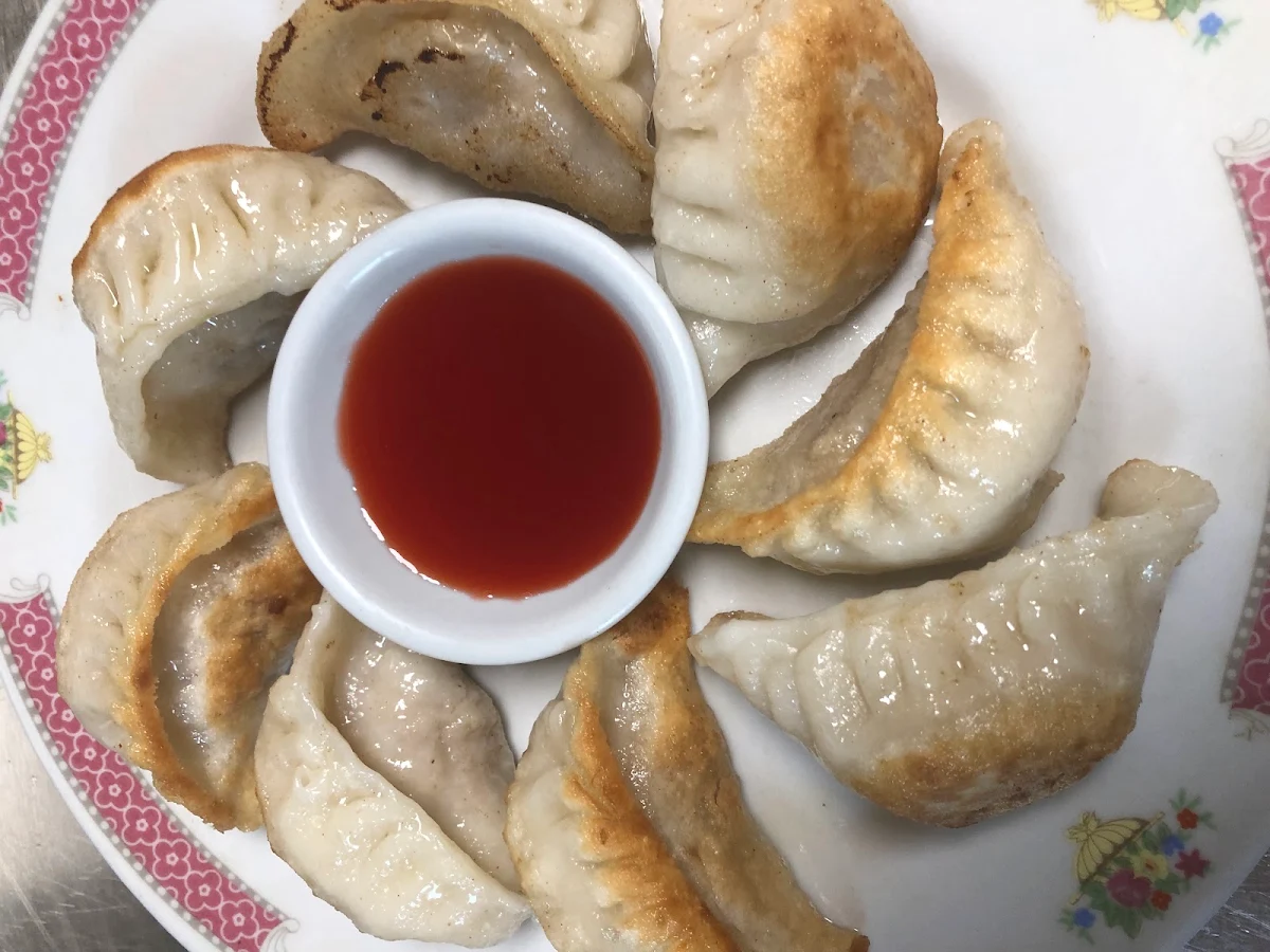 Fried Pork Dumplings