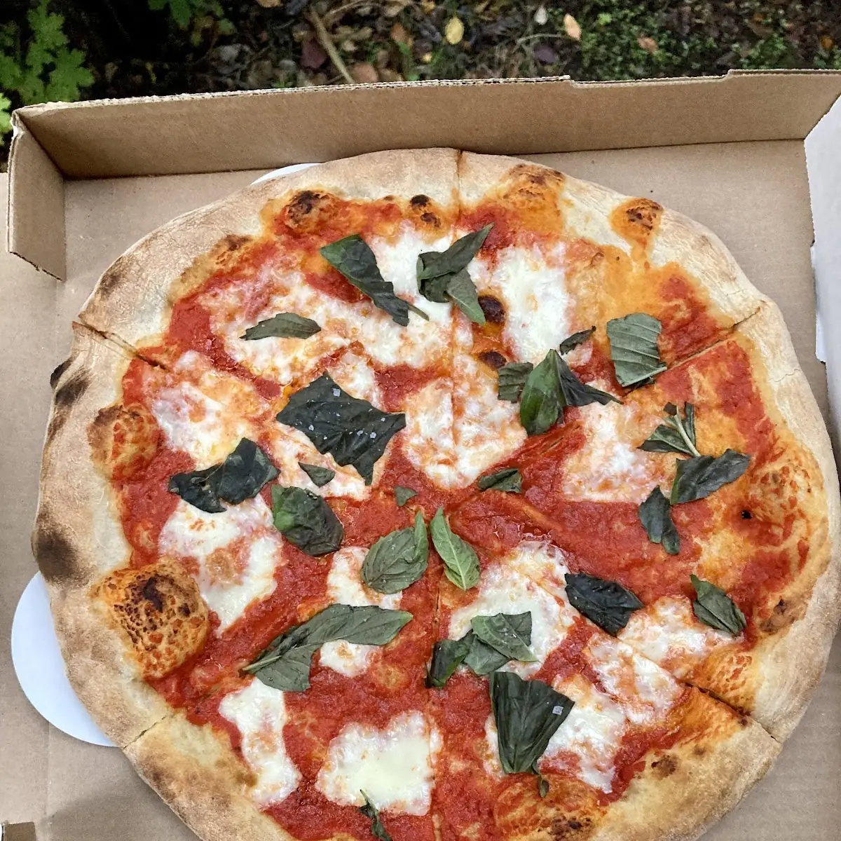 Pizza Margherita