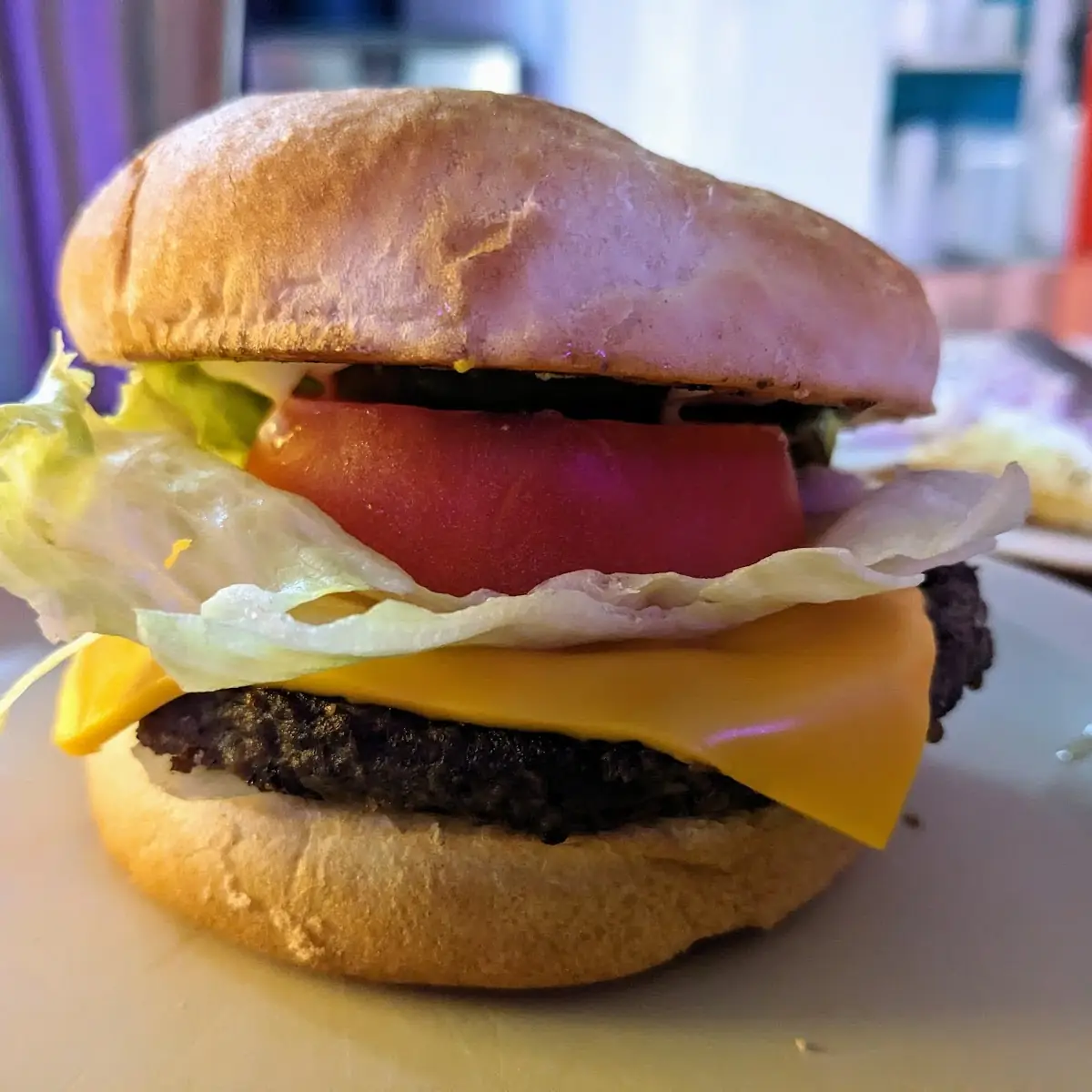 Elk Burger