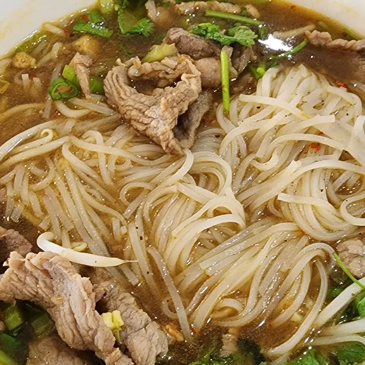Beef Soup