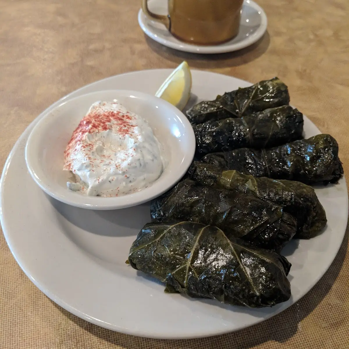 Stuffed Grape Leaves