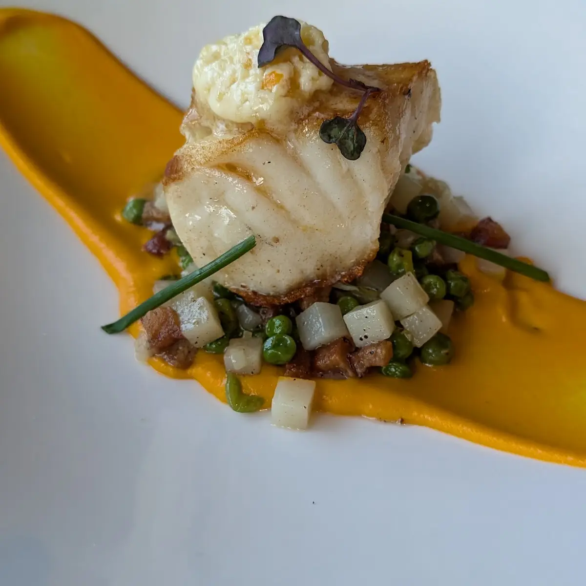 Sea Bass
