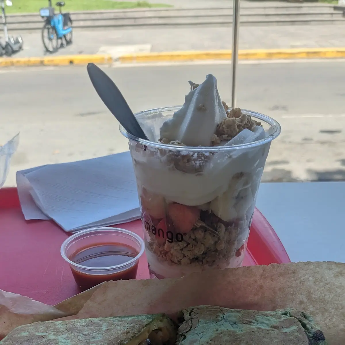 Chicken Wrap