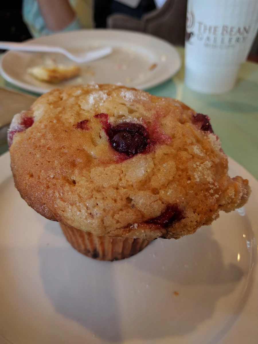 Blueberry Muffin