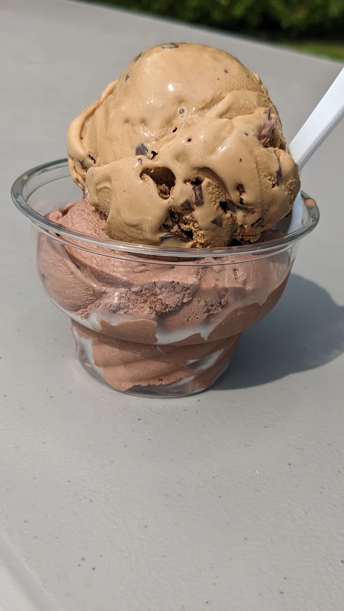 Chocolate Chip and Mocha Almond Ice Cream Cup