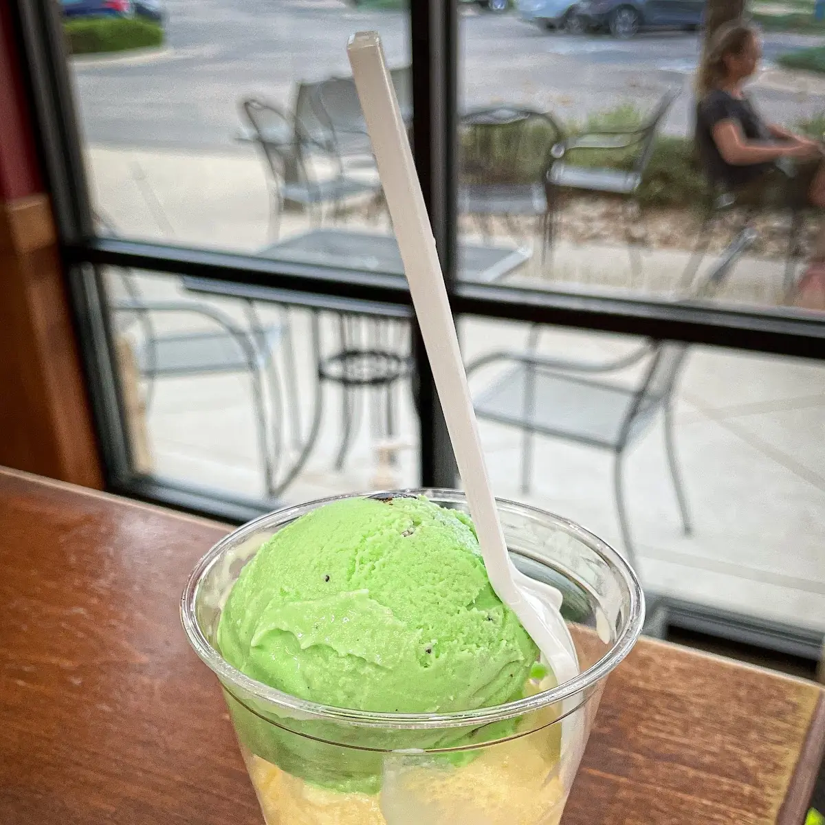 Mint Chocolate Chip & Vanilla