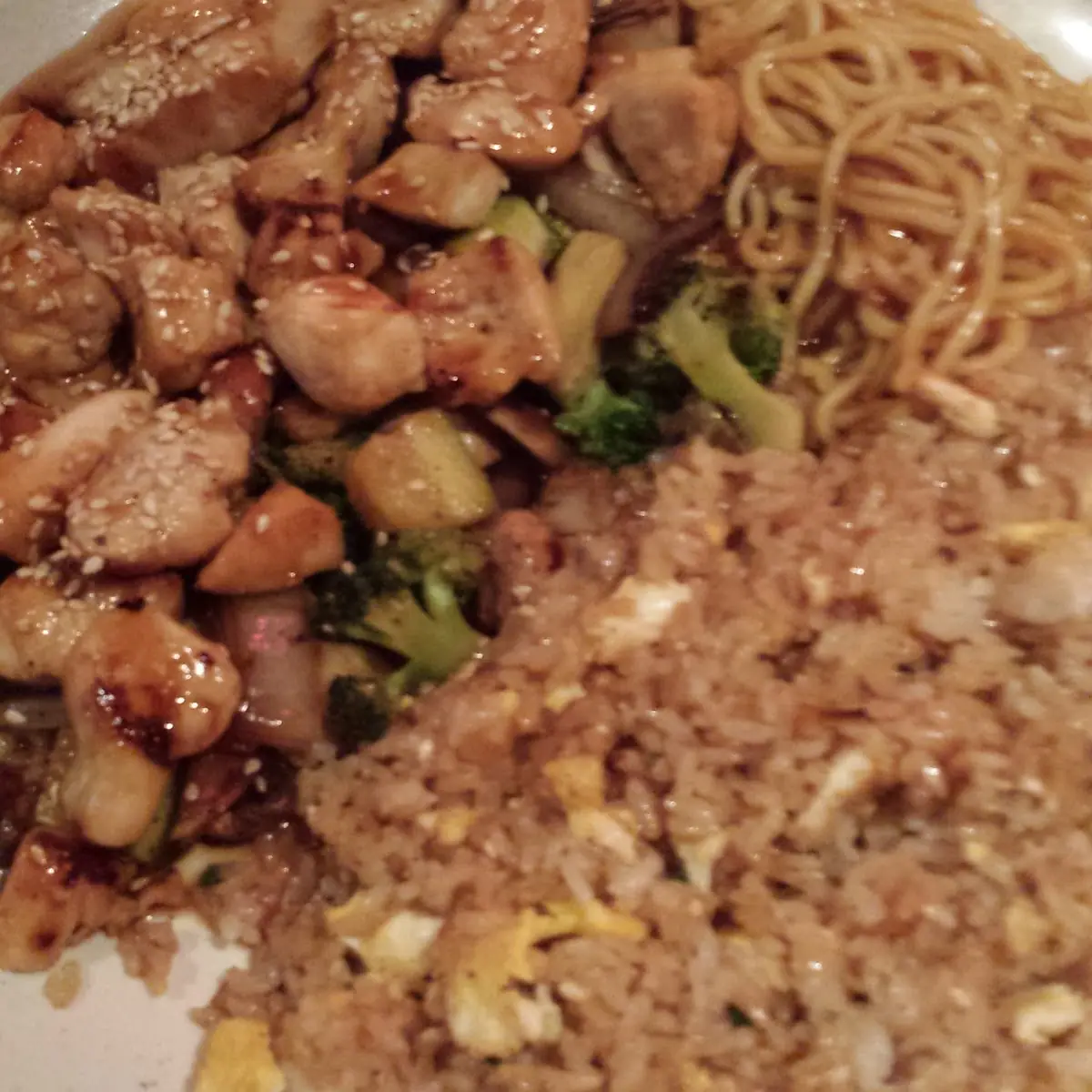 Teriyaki Chicken with Fried Rice