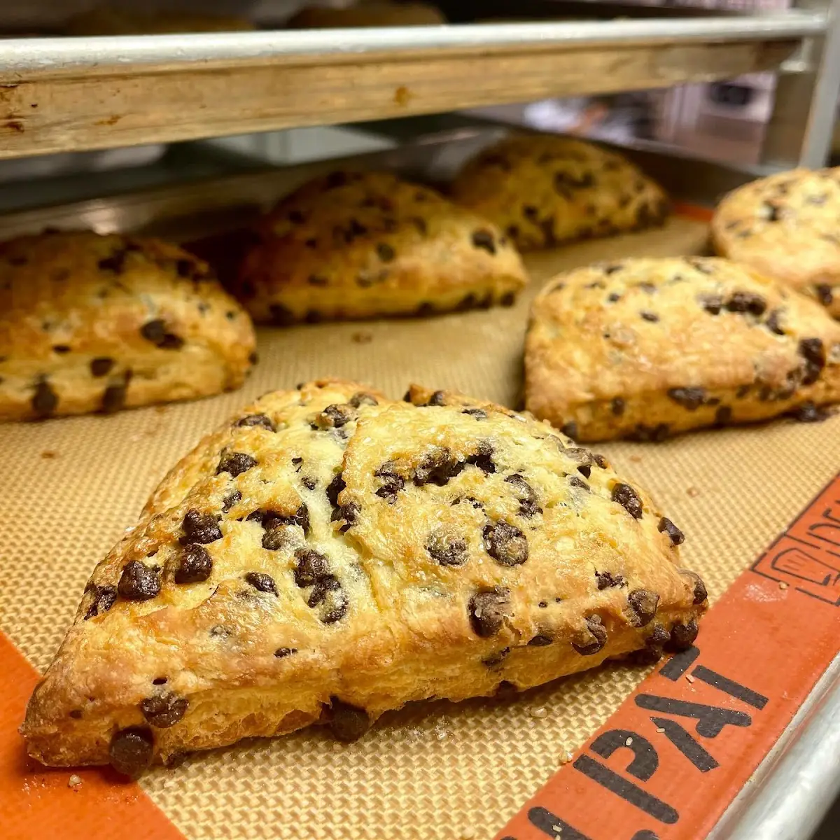 Chocolate Chip Scone