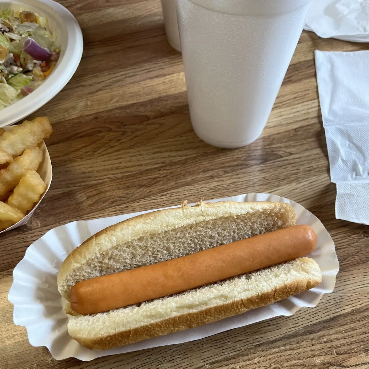 Plain Hot Dog