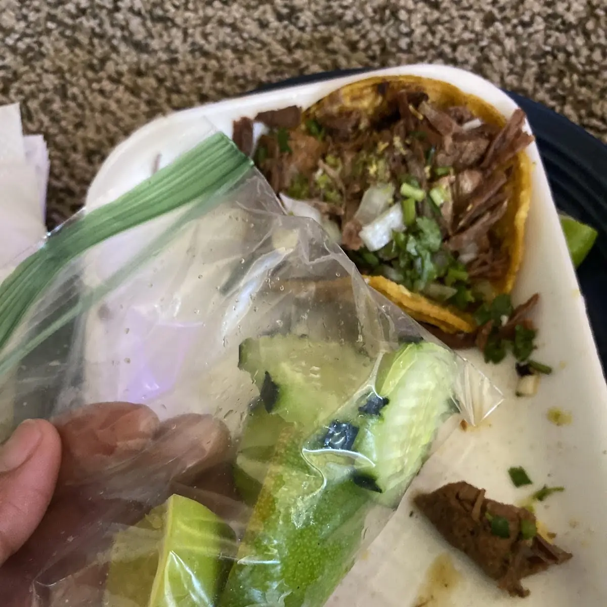 Spring Roll