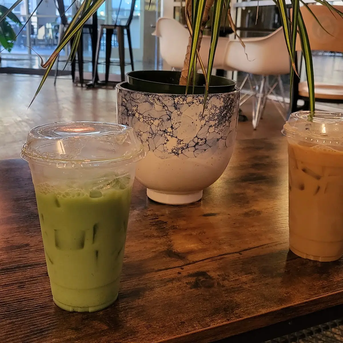 Iced Matcha Latte