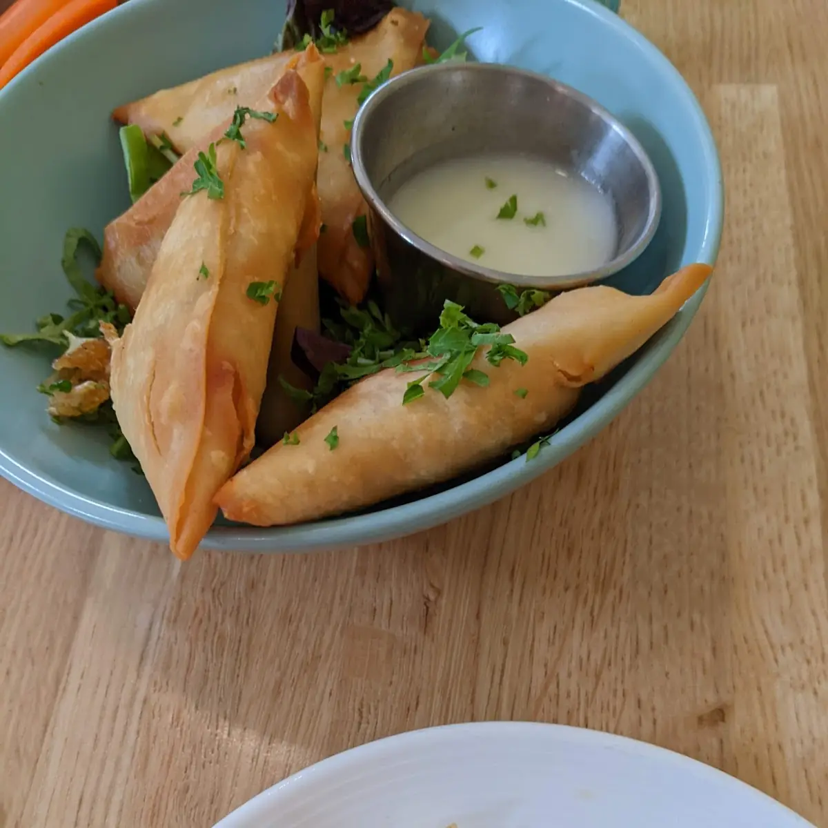 Chicken Samosa