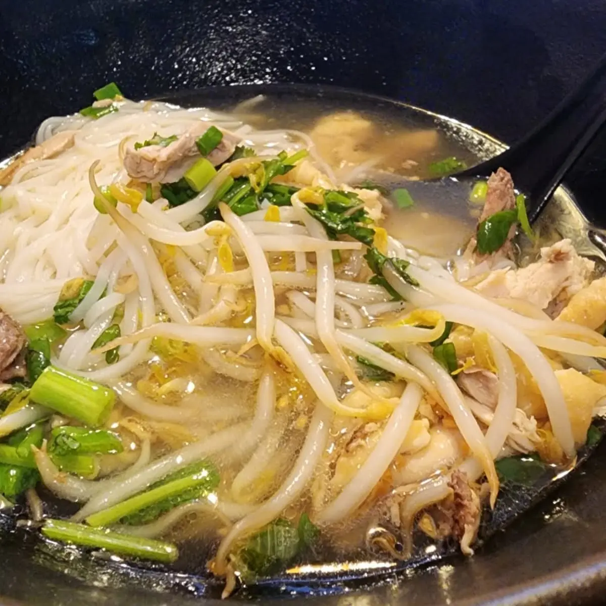 Chicken Noodle Soup
