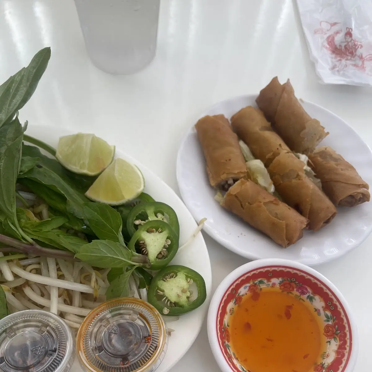 Fresh Spring Rolls