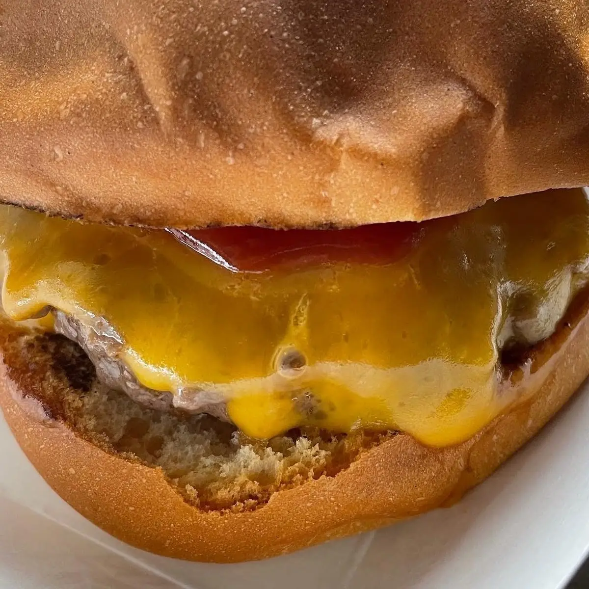 Single with Cheddar Cheese