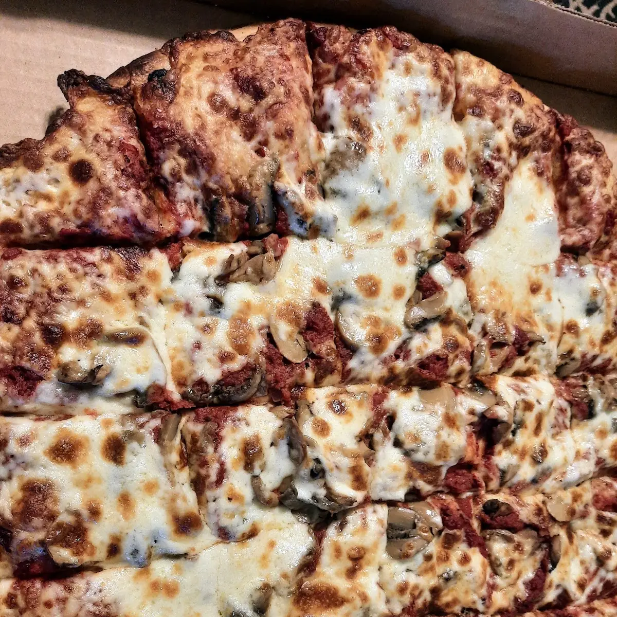 Mushroom Pizza