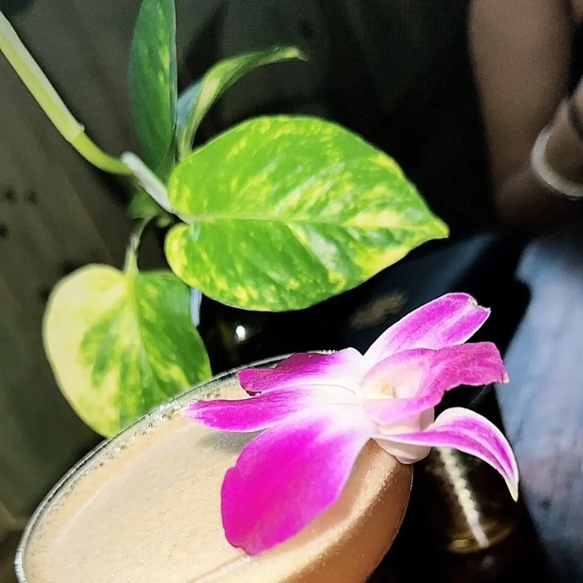Pumpkin Spice Espresso Martini
