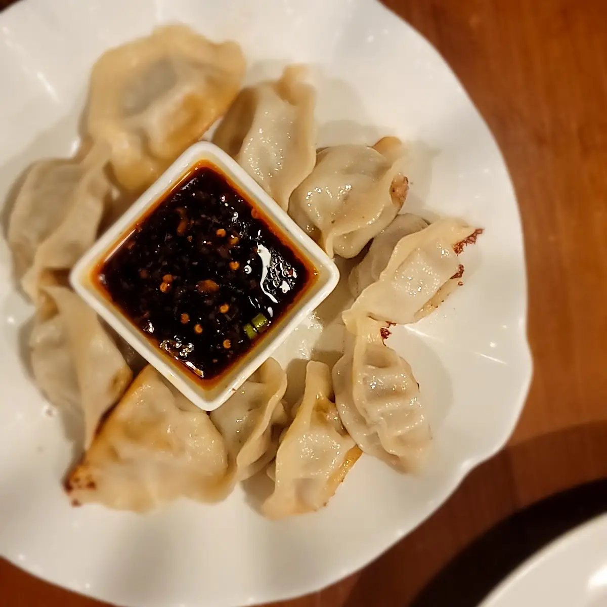 M9 Fried Dumplings