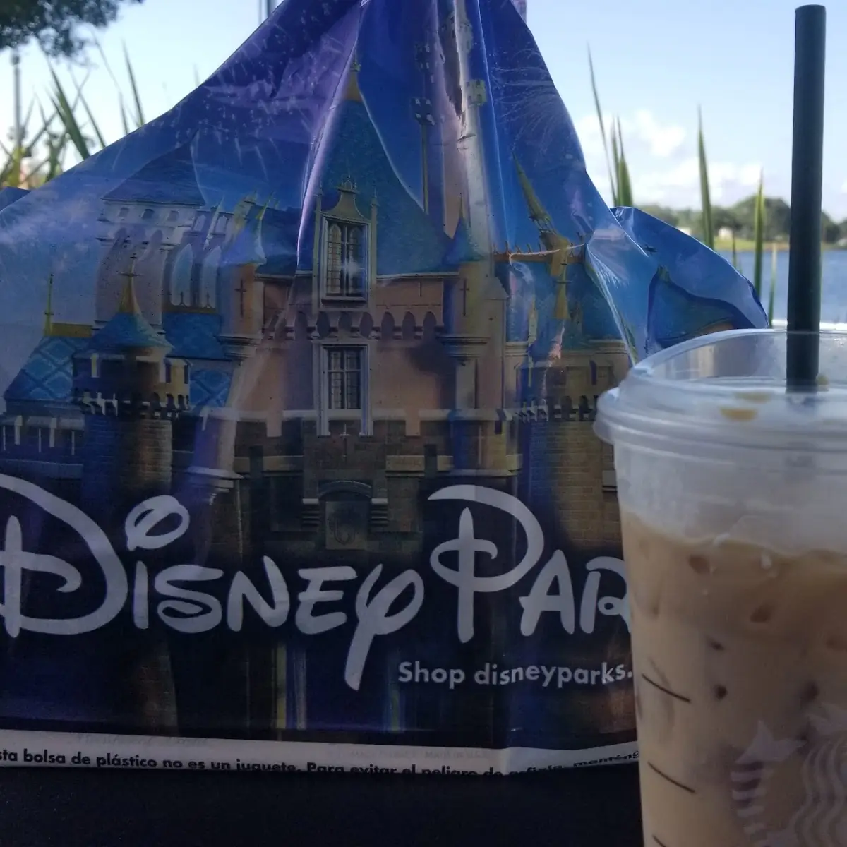 Starbucks Iced Coffee