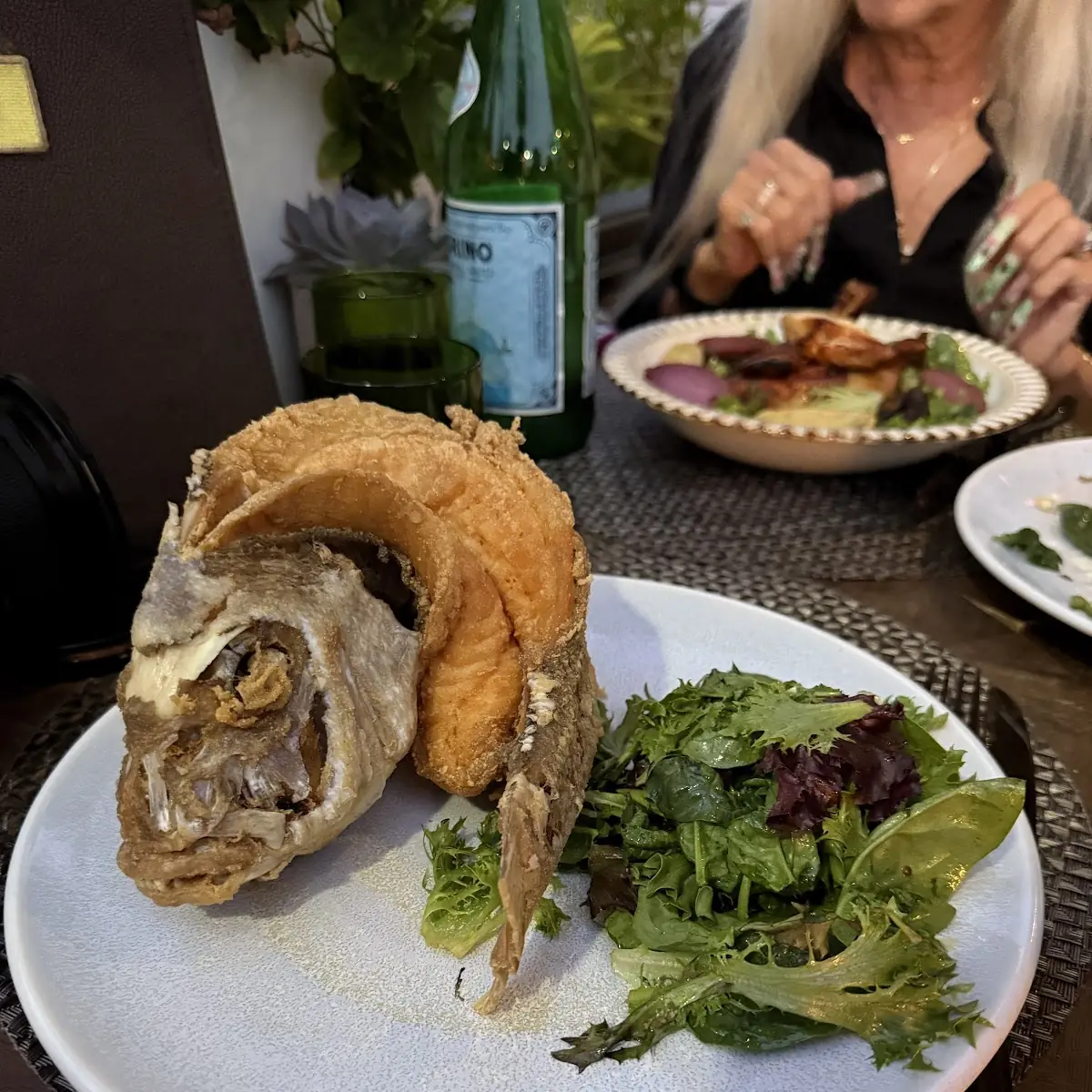 Red Snapper