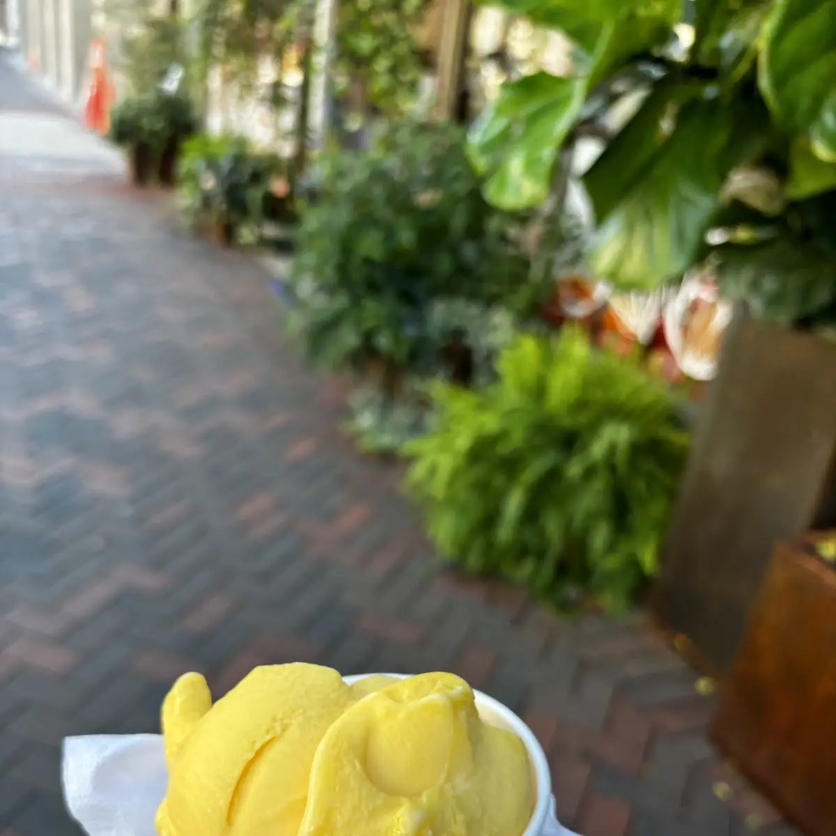 Lemon Sorbet