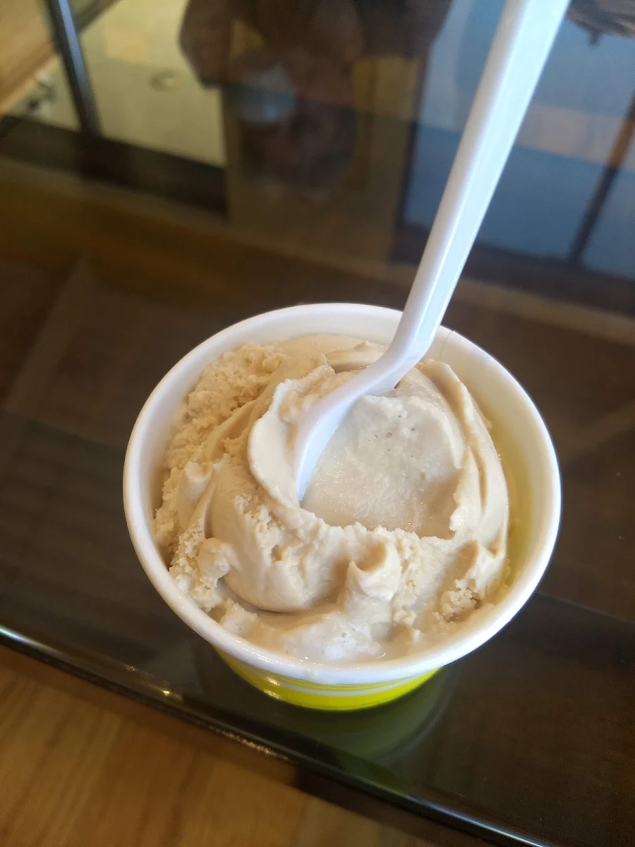 Salted Caramel Ice Cream