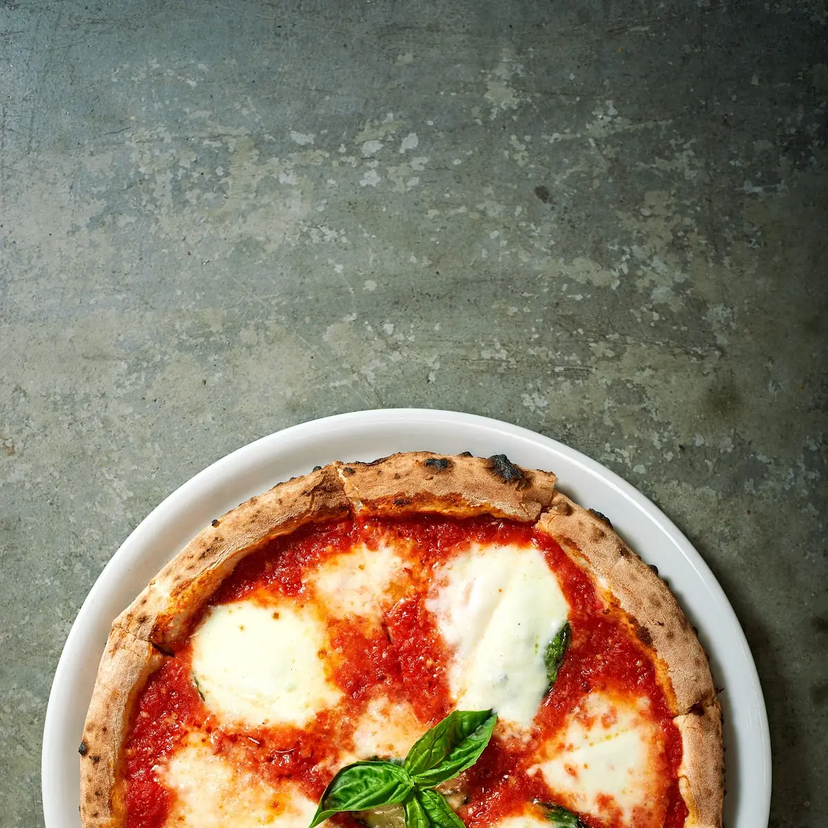 16 Margherita Pizza