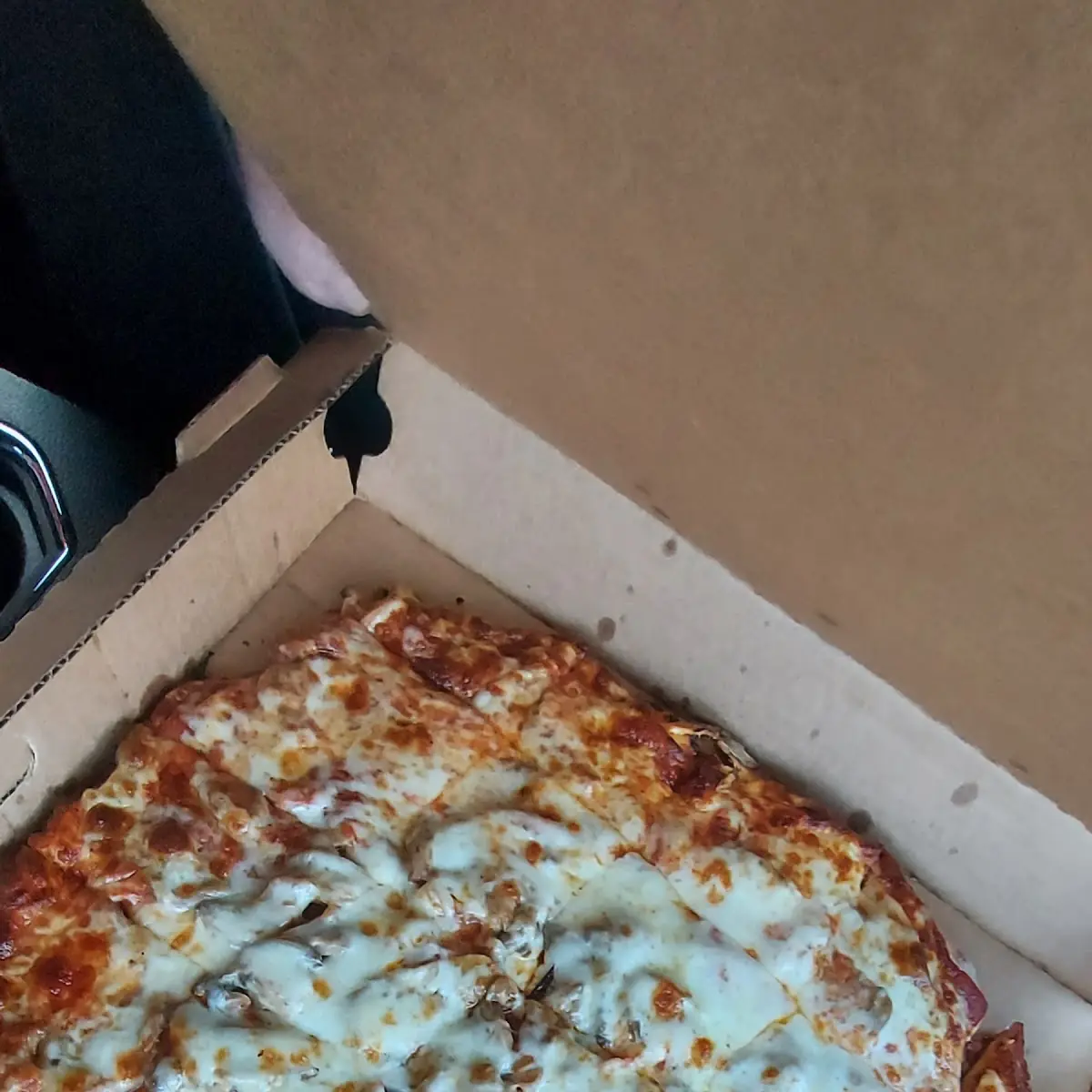 Pepperoni and Mushrooms Pizza