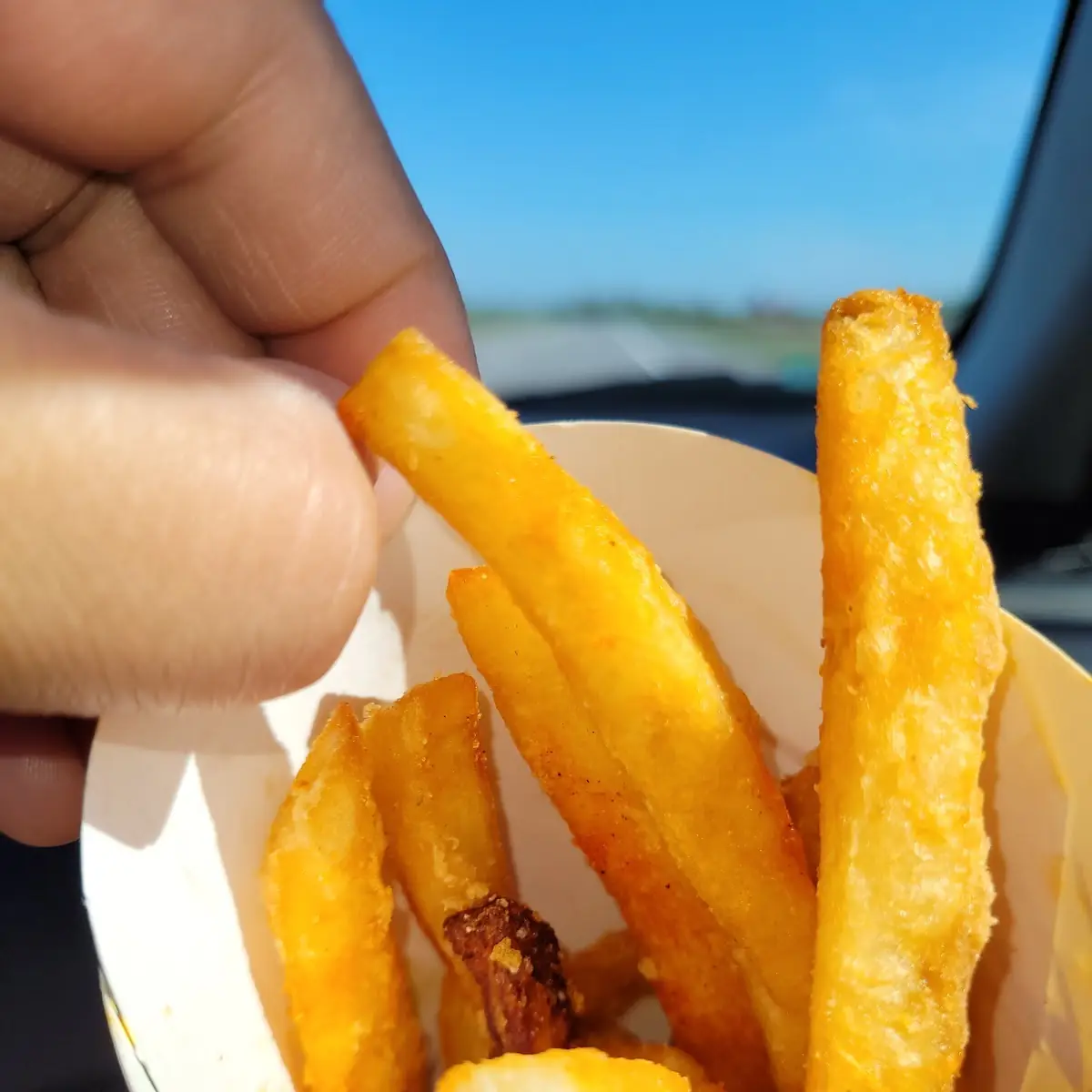 French Fries