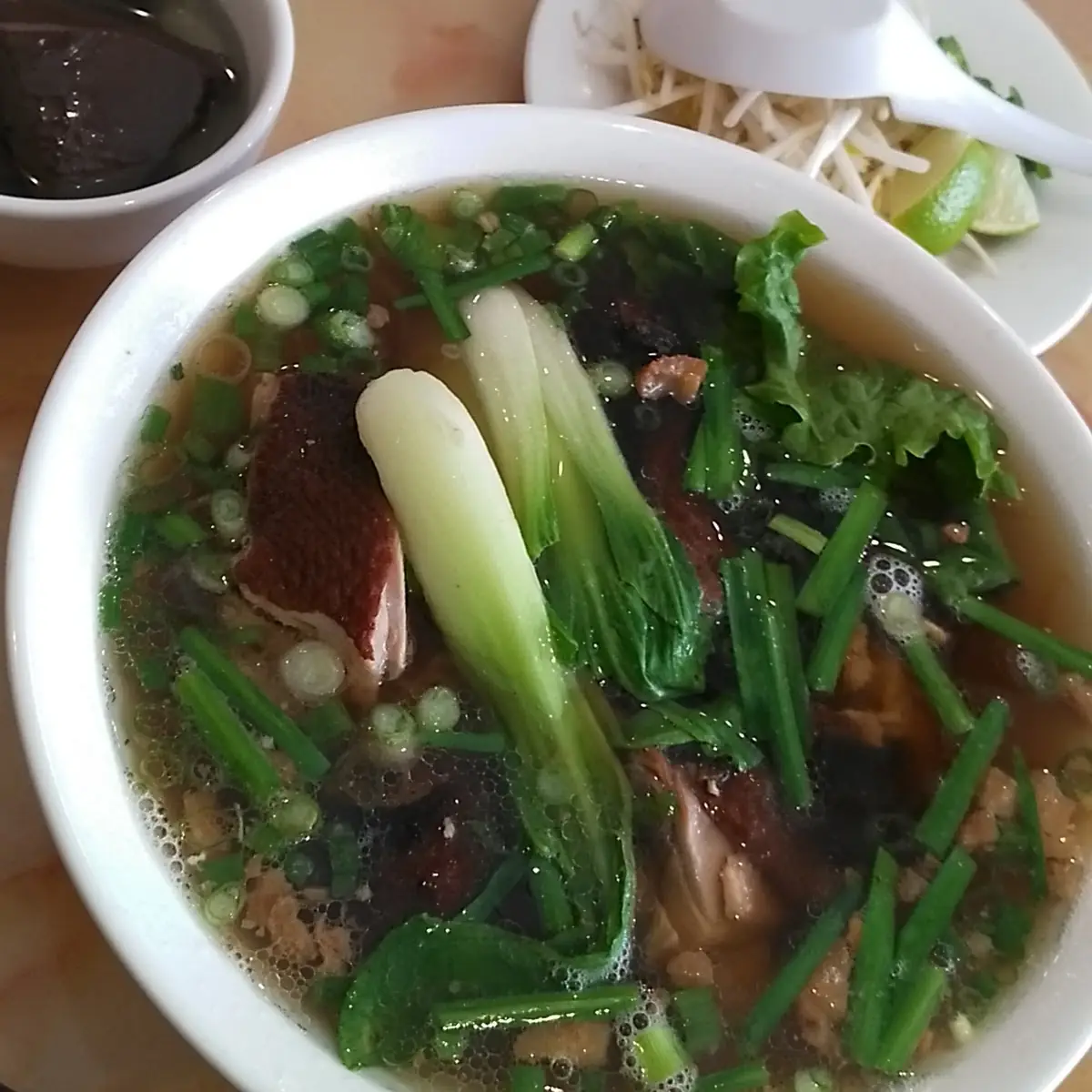Duck Noodle Soup