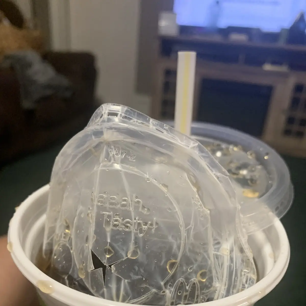Grass Jelly