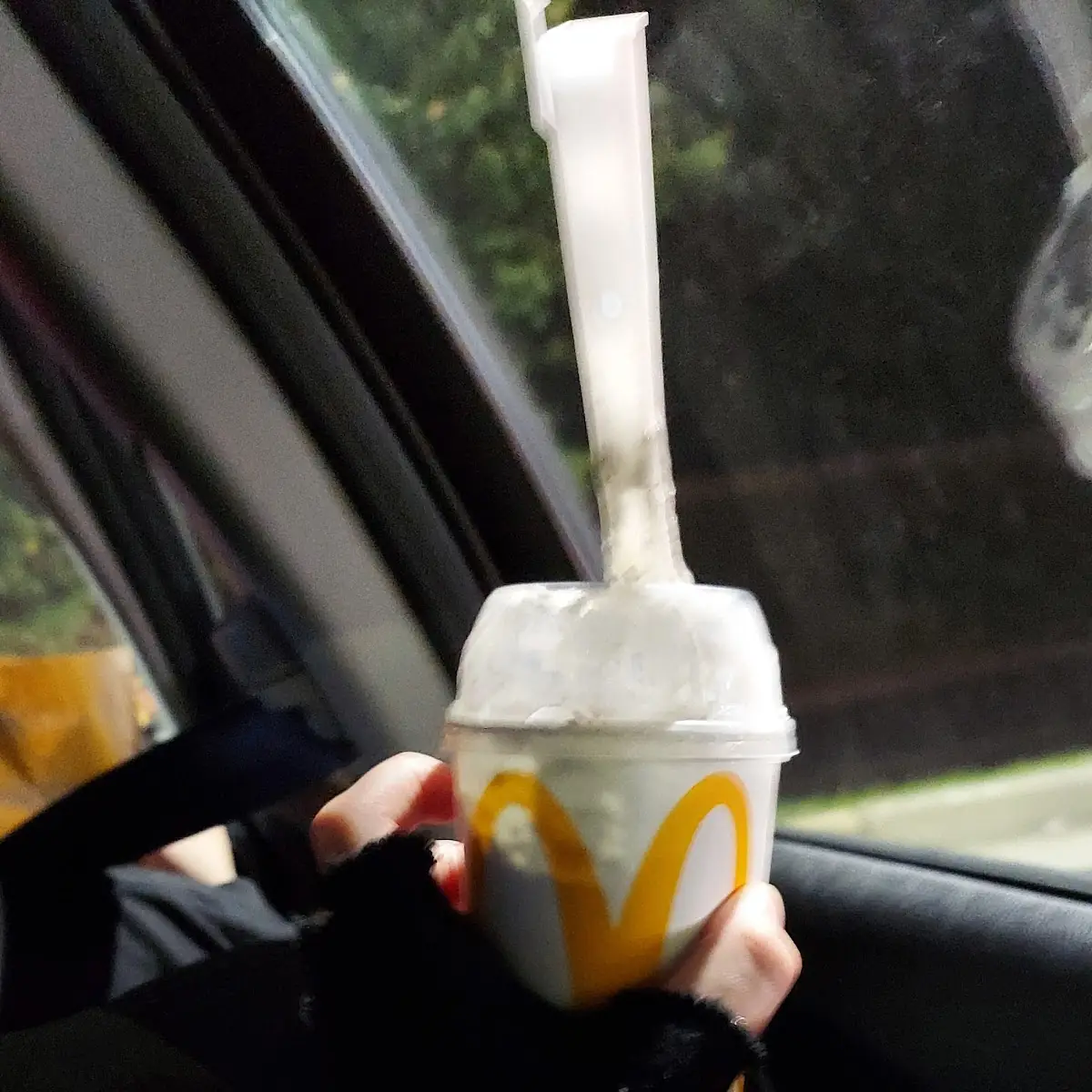 Derpy Mcflurry